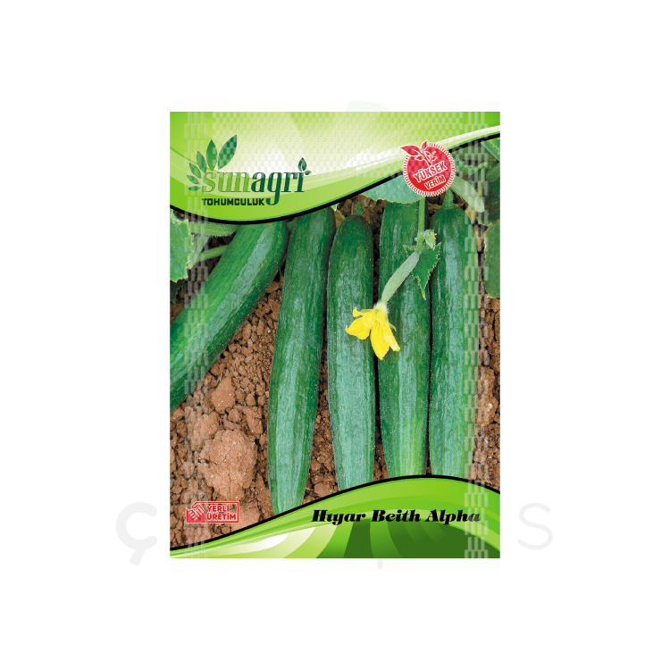 Beith Alpha Salatalık Tohumu