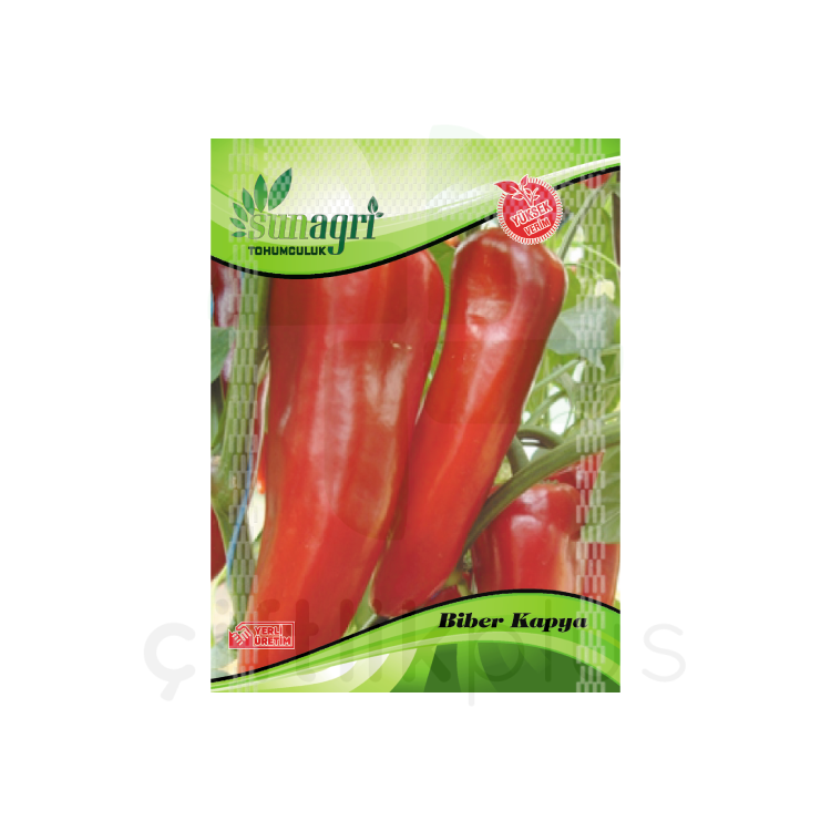 Kapya Biber Tohumu