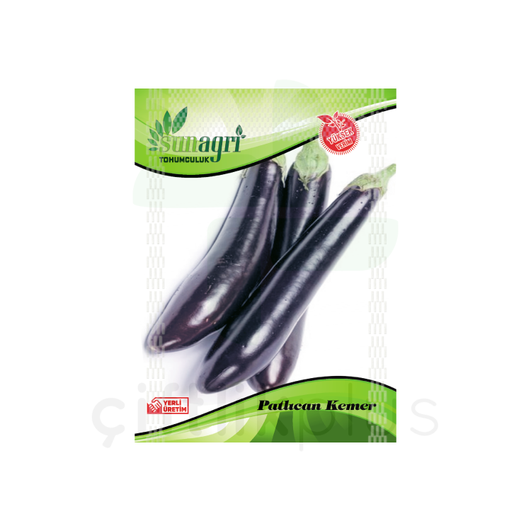 Kemer Patlıcan Tohumu