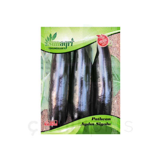 Aydın Siyahı Patlıcan Tohumu