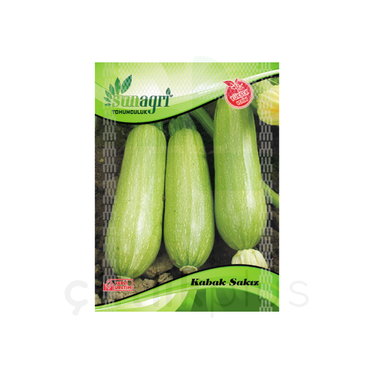 Sakız Kabak Tohumu