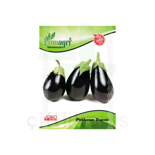 Topan Patlıcan Tohumu